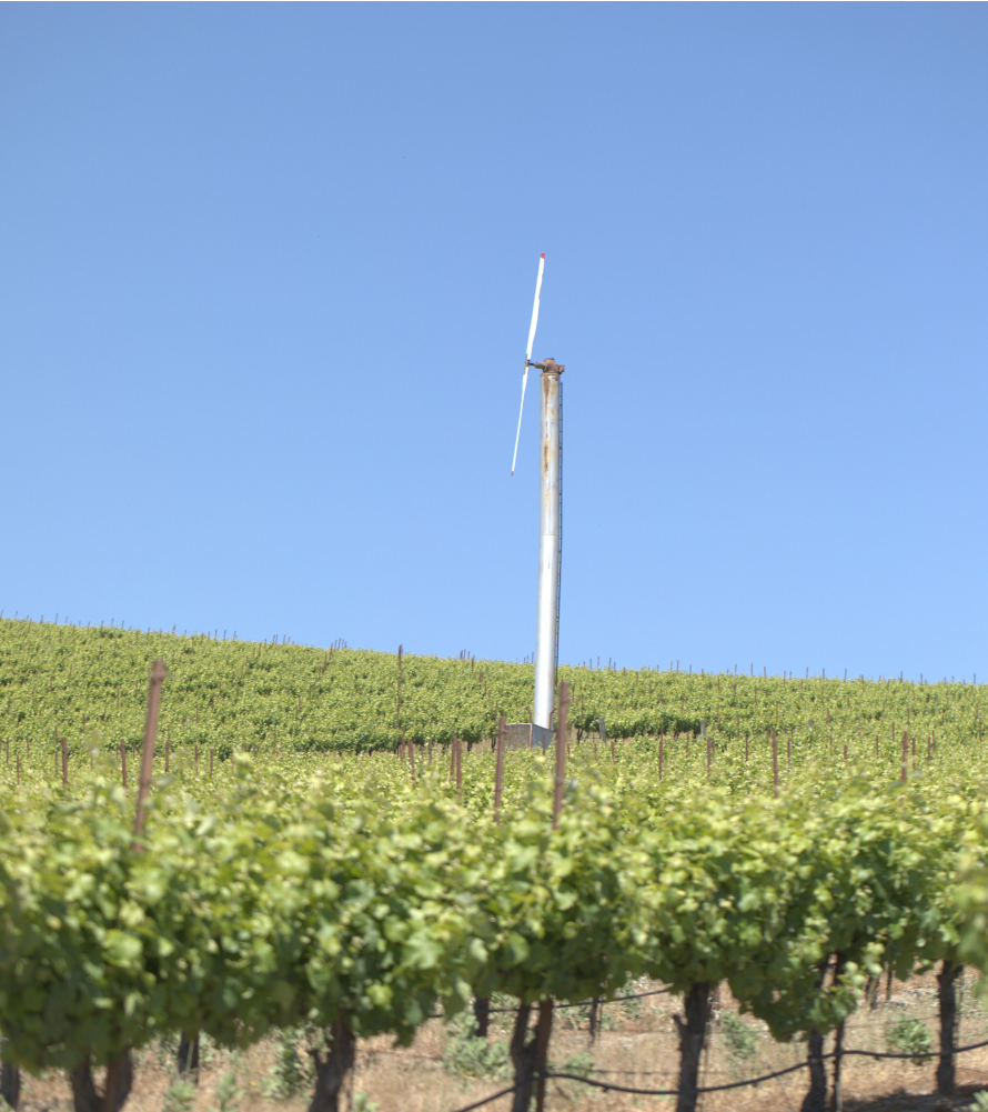 A white wind turbine against a blue sky in a green vineyard
