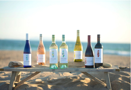 The full range of Seaglass wines arranged on a rustic wooden bench on a sandy beach with the ocean in the background