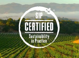 SIP Certified Sustainability in Practice logo